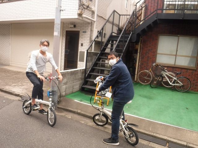 sample
